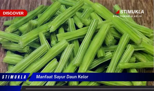 manfaat sayur daun kelor