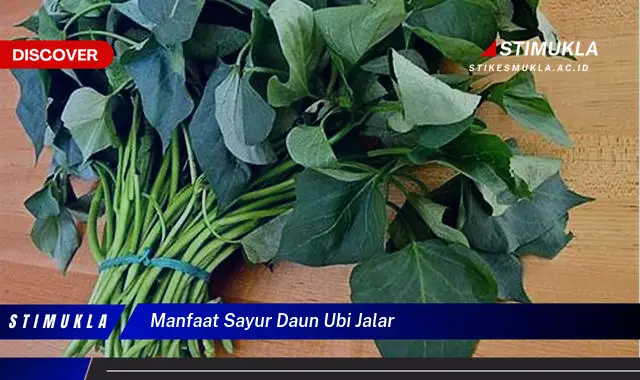 manfaat sayur daun ubi jalar