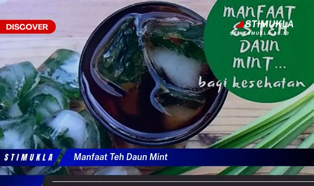 manfaat teh daun mint