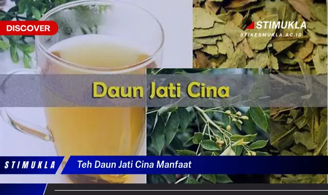 teh daun jati cina manfaat