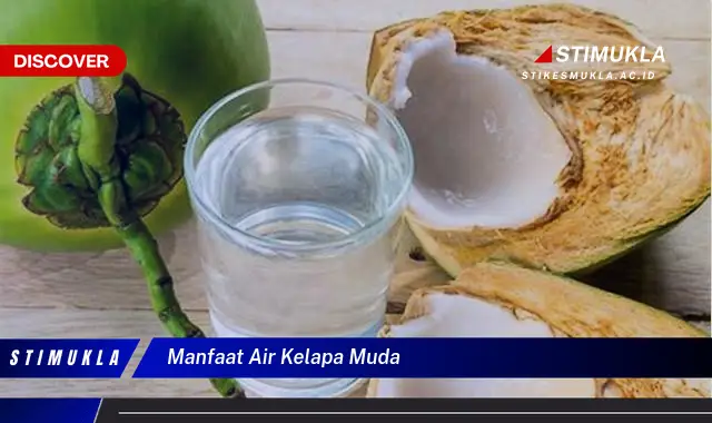 manfaat air kelapa muda