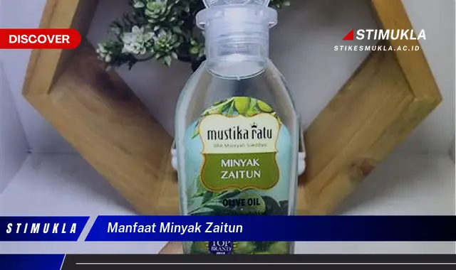 manfaat minyak zaitun